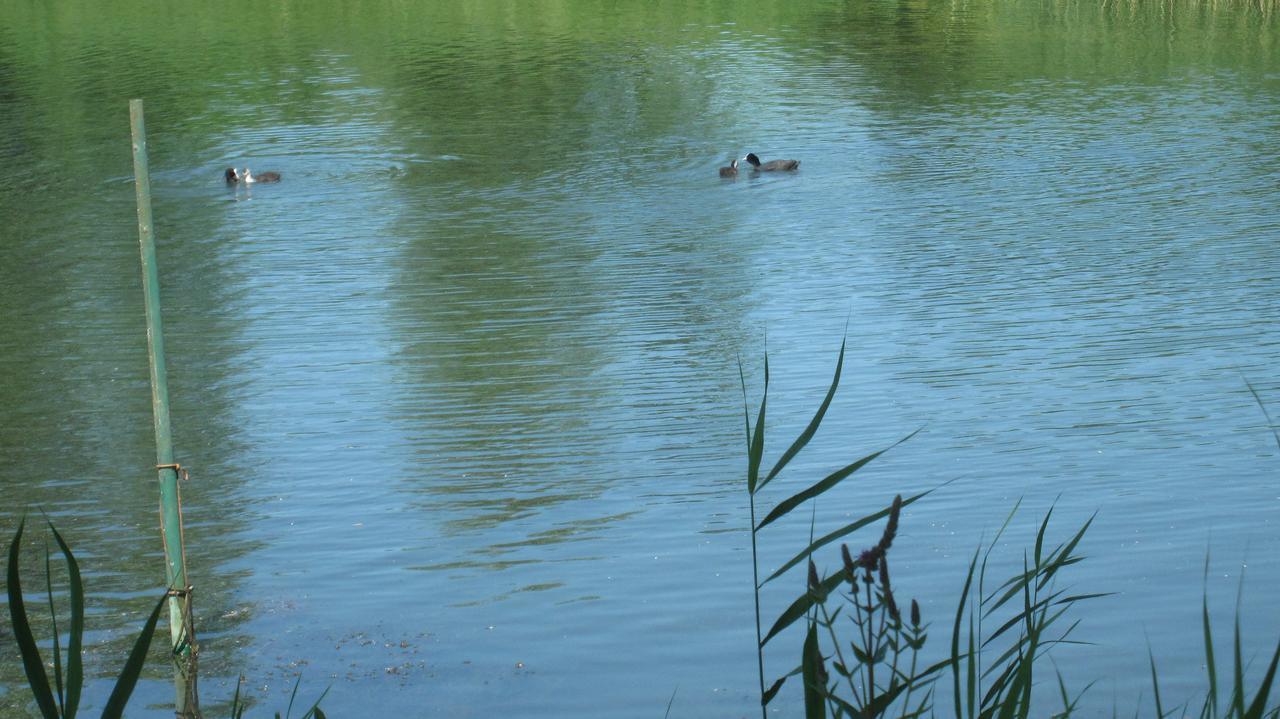 Gaestehaus Zur Linde Otterndorf Esterno foto